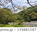 山の自然 139881587