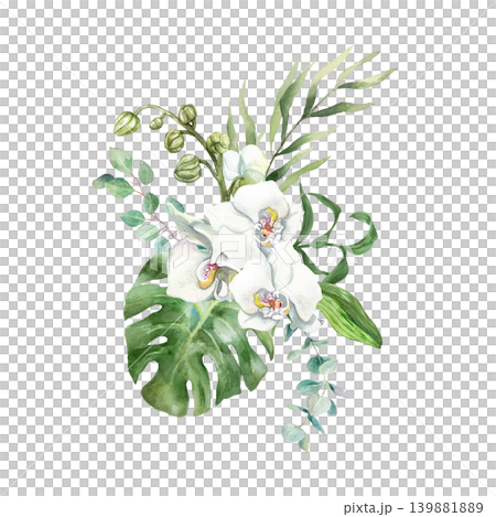 White orchid. Bouquet of tropical flowers with green monstera, palm and eucalyptus leaves. Hand drawn watercolor illustration, isolated. For card designs, wedding invitations and cosmetic packaging. White orchid. Bouquet of tropical flowers with green monstera, palm and eucalyptus leaves. Hand drawn watercolor illustration, isolated. For card designs, wedding invitations and cosmetic packaging. 139881889