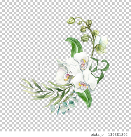 White orchids. Bouquet of tropical flowers with green palm leaves and a sprig of eucalyptus. Hand drawn watercolor illustration, isolated. Suitable for card designs, wedding invitations and cosmetics. White orchids. Bouquet of tropical flowers with green palm leaves and a sprig of eucalyptus. Hand drawn watercolor illustration, isolated. Suitable for card designs, wedding invitations and cosmetics. 139881892