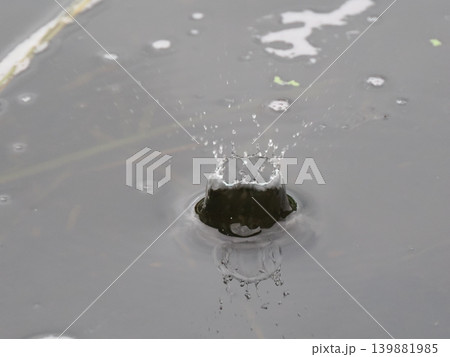 ナチュラルな雨だれのクラウン 139881985