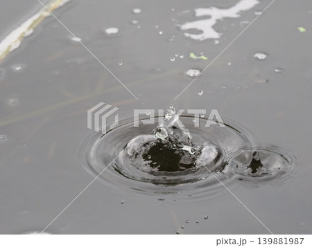 ナチュラルな雨だれのクラウン 139881987