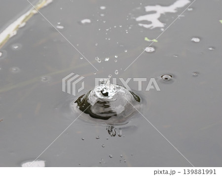 ナチュラルな雨だれのクラウン 139881991