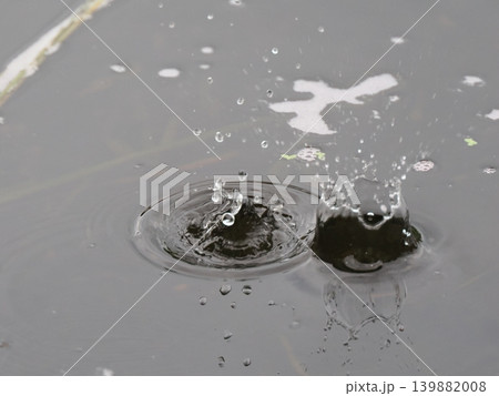 ナチュラルな雨だれのクラウン 139882008