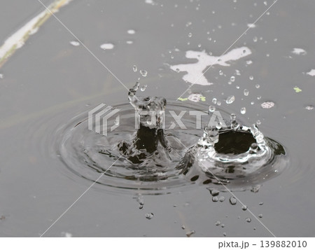 ナチュラルな雨だれのクラウン 139882010
