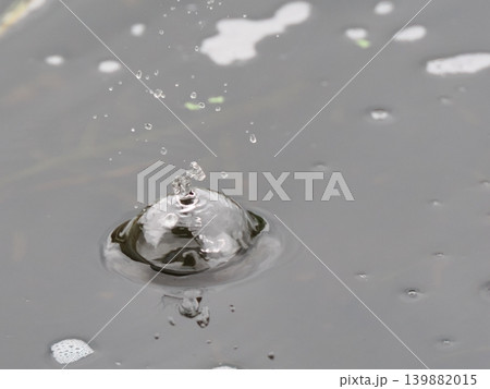 ナチュラルな雨だれのクラウン 139882015