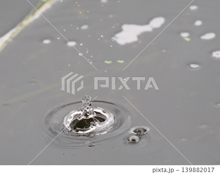ナチュラルな雨だれのクラウン 139882017