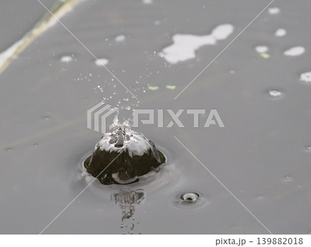 ナチュラルな雨だれのクラウン 139882018