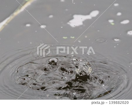 ナチュラルな雨だれのクラウン ナチュラルな雨だれのクラウン 139882020