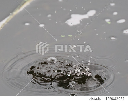 ナチュラルな雨だれのクラウン 139882021