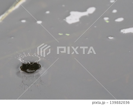 ナチュラルな雨だれのクラウン ナチュラルな雨だれのクラウン 139882036