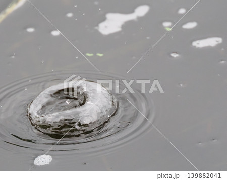 ナチュラルな雨だれのクラウン 139882041