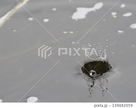 ナチュラルな雨だれのクラウン 139882059