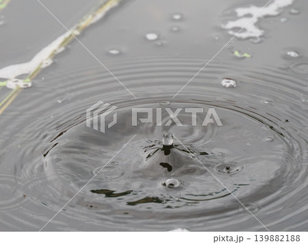 水面に落ちた雨の波紋 水面に落ちた雨の波紋 139882188