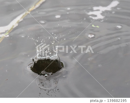 水面に落ちた雨の波紋 水面に落ちた雨の波紋 139882195