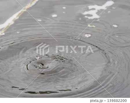 水面に落ちた雨の波紋 水面に落ちた雨の波紋 139882200