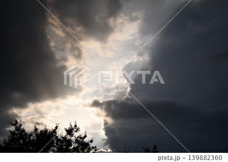 Dramatic storm clouds with heavy rain falling over a lush green agricultural soybean 139882360
