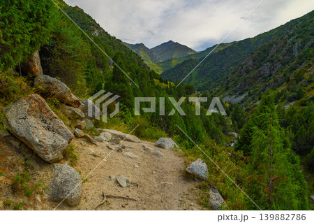 Dirt hiking trail in lush green mountain valley with evergreen trees in Kyrgyzstan 139882786