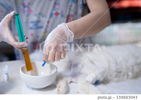 Vet prepares medicine. Calm veterinary staff administers medication to relaxed feline patient Vet prepares medicine. Calm veterinary staff administers medication to relaxed feline patient 139883043