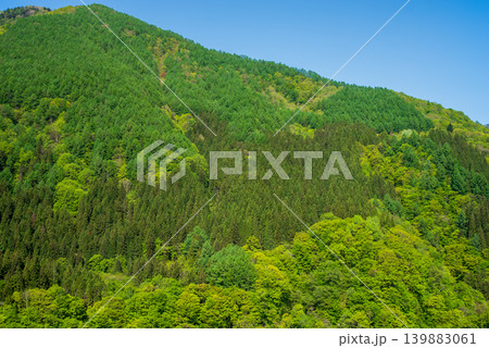 鮮やかな新緑の山肌《岐阜県 高山市》 鮮やかな新緑の山肌《岐阜県 高山市》 139883061