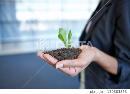 Person, hand and soil with plant for environment or future sustainability, climate change or non profit. Fingers, dirt and leaf for development or business growth for startup, investment or nature Person, hand and soil with plant for environment or future sustainability, climate change or non profit. Fingers, dirt and leaf for development or business growth for startup, investment or nature 139883858