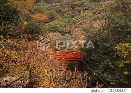 秋の山中にある赤い橋と周囲の景観 139884834