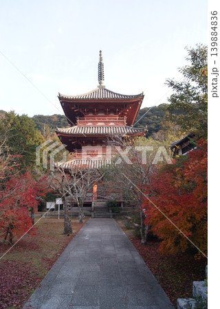 紅葉に囲まれた寺院の三重塔正面図 紅葉に囲まれた寺院の三重塔正面図 139884836