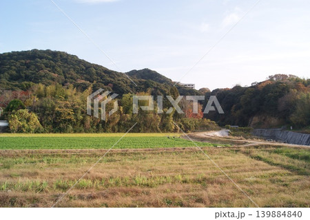 秋の田んぼと緑の山々が広がる景観 秋の田んぼと緑の山々が広がる景観 139884840