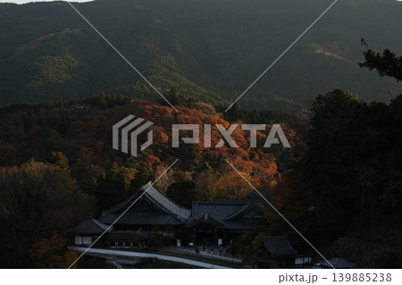 奈良大和路の花の御寺 総本山 長谷寺の紅葉 139885238