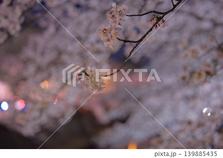 ライトアップされた幻想的な夜桜と美しい玉ボケのクローズアップ ライトアップされた幻想的な夜桜と美しい玉ボケのクローズアップ 139885435