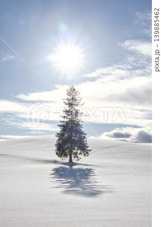 冬の北海道・美瑛町に佇むクリスマスツリーの木と輝く太陽光の縦位置絶景 冬の北海道・美瑛町に佇むクリスマスツリーの木と輝く太陽光の縦位置絶景 139885462