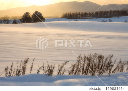 黄金色の夕陽に照らされる美しい雪の丘と広大な雪原の横長冬景色 139885464