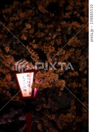 『奥の細道むすびの地 大垣』の文字が浮かぶぼんぼりと満開の夜桜 『奥の細道むすびの地 大垣』の文字が浮かぶぼんぼりと満開の夜桜 139885510