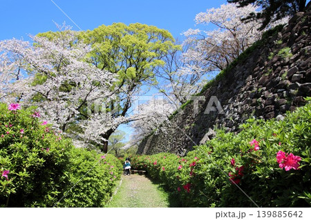 福岡市の舞鶴公園の福岡城址風景 福岡市の舞鶴公園の福岡城址風景 139885642