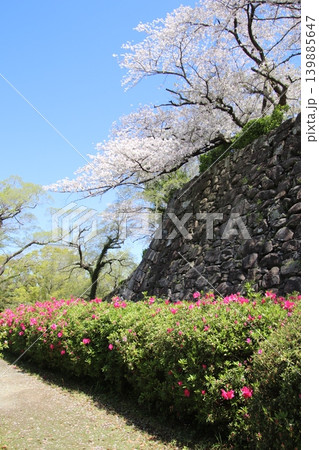 福岡市の舞鶴公園の福岡城址風景 福岡市の舞鶴公園の福岡城址風景 139885647
