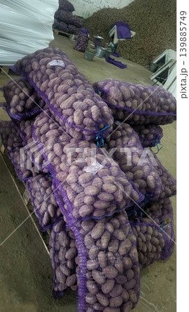 Stacked purple mesh bags with agricultural produce in a warehouse, food science research, industrial logistics. Stacked purple mesh bags with agricultural produce in a warehouse, food science research, industrial logistics. 139885749