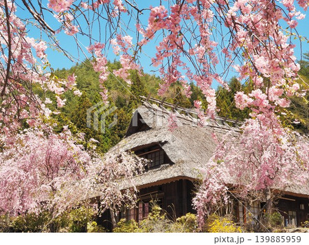 山梨県　枝垂れ桜と茅葺屋根の古民家　4月 139885959