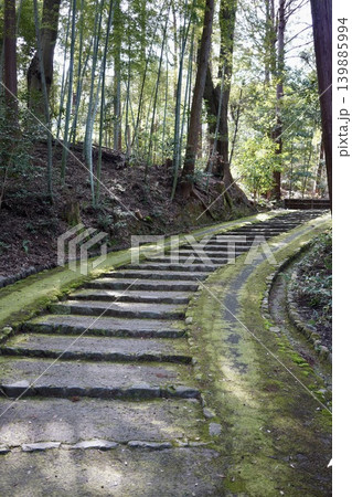 苔むした石段 苔むした石段 139885994