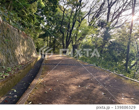 初夏の自然に囲まれた木漏れ日の遊歩道 初夏の自然に囲まれた木漏れ日の遊歩道 139886329
