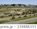 多摩川河川敷二子新地からの対岸二子玉川眺望 多摩川河川敷二子新地からの対岸二子玉川眺望 139886355