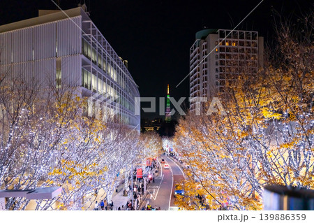 東京・六本木 けやき坂 クリスマスイルミネーション 東京・六本木 けやき坂 クリスマスイルミネーション 139886359