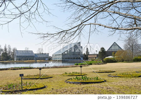 富山市 富山県中央植物園 北池 展示温室 富山市 富山県中央植物園 北池 展示温室 139886727