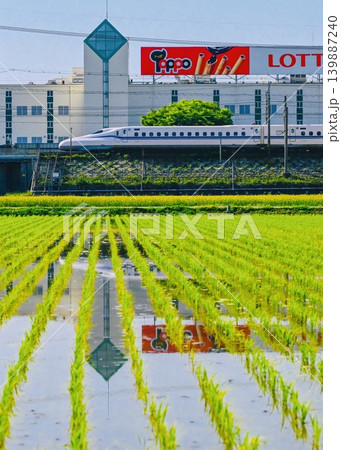 水田の水鏡に映る新幹線 工場前を疾走する新幹線 水田の水鏡に映る新幹線 工場前を疾走する新幹線 139887240
