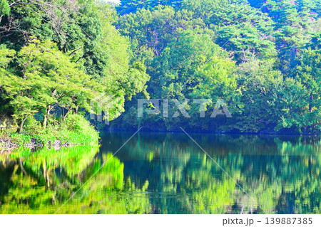 八丁湖　埼玉県吉見町 139887385