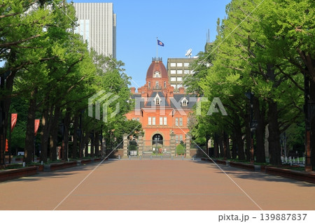 赤れんが庁舎と新緑のイチョウ並木 国指定重要文化財 北海道庁旧本庁舎 5月 赤れんが庁舎と新緑のイチョウ並木 国指定重要文化財 北海道庁旧本庁舎 5月 139887837