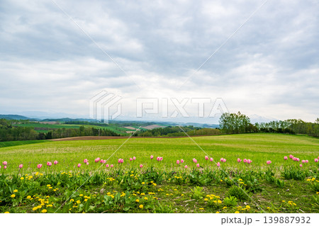 五月の北海道 五月の北海道 139887932