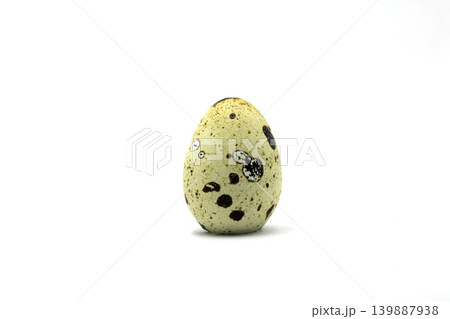 A Detailed Close Up Single Speckled Quail Egg with Distinct Dark Spots Isolated on a Pure White Background A Detailed Close Up Single Speckled Quail Egg with Distinct Dark Spots Isolated on a Pure White Background 139887938