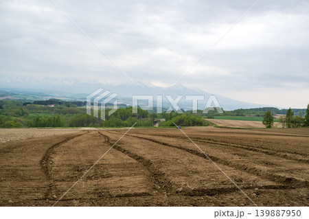 五月の北海道 五月の北海道 139887950