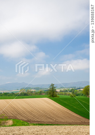 五月の北海道 五月の北海道 139888167