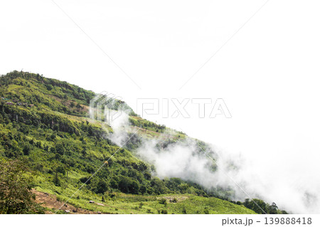 Close-up Fog and cloud mountain valley landscape In the Rainy season with white background Close-up Fog and cloud mountain valley landscape In the Rainy season with white background 139888418