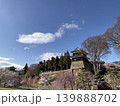 春の城、下からみた風景 139888702